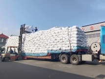 把握機(jī)遇、鉚足干勁、承勢(shì)而上