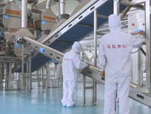2025年的第一個(gè)月，承德亞歐果仁有限公司在山杏產(chǎn)業(yè)的道路上持續(xù)奮進(jìn)，展現(xiàn)出蓬勃的發(fā)展活力。